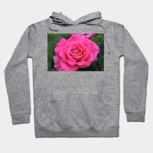 Pink Rose Hoodie